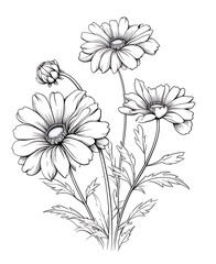 Flower Coloring Page, black and white. Floral pattern for coloring book Page