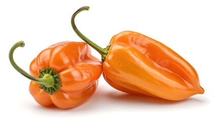 Two vibrant ripe orange habanero chili peppers isolated against a clean white background