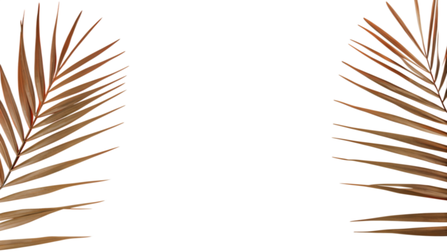 Two bronze palm leaves on a black background for modern minimalist design