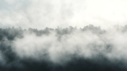 Misty landscape of a dense forest shrouded in clouds.
