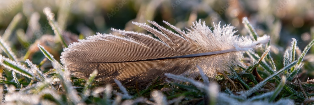 Poster delicate feather resting on frost-covered grass in the hazy light of early morning generative ai