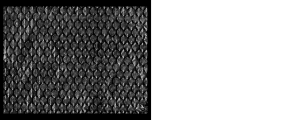 Plastic Packaging Bubble Wrap Texture for Visual Layouts and Posters on a Transparent or White Background