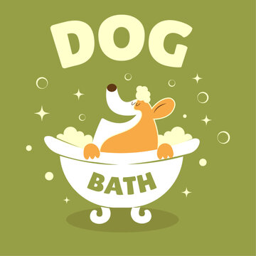 Playful vector of a happy dog enjoying a bath in a tub. Perfect for pet grooming services, dog care, or kids&rsquo; content.