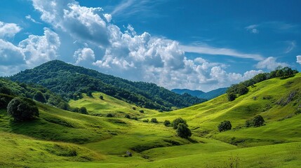 Naklejka premium Lush Green Pastures Under Bright Blue Sky in Summer Landscape
