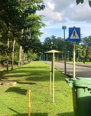 Lush Green Park Path with Pedestrian Crossing Sign and Waste Bin