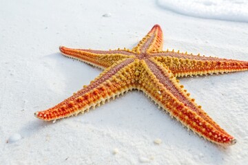 Vibrant Starfish Rests on White Background in Natural Setting Generative AI