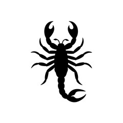 scorpion silhouette on white background  .svg