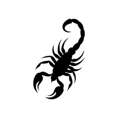scorpion tail silhouette on white background  .svg