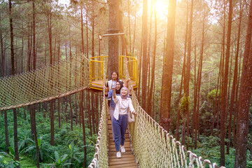Happy Asian Women Taking Selfie on Rope Bridge in Lush Pine Forest