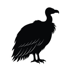 Black silhouette of a vulture bird on a vector art illustration