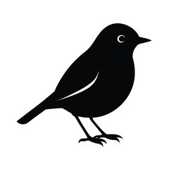 Black silhouette of a robin bird on vector art illustration