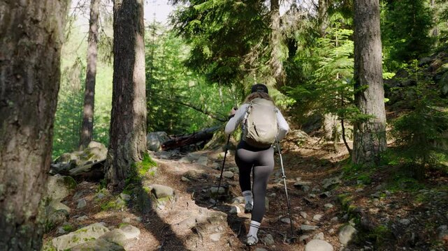 Young woman hiking in mountain forest, summer. Female hiker walks on rocky trail with backpack. Girl exploring nature, trekking through trees, slow motion. Outdoor adventure, tourism activity. Slowmo