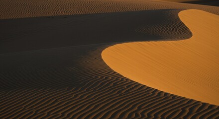 Endless dunes of a desert at sunrise, with soft shadows and delicate barchan shaped
