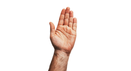 Png of A close-up of a human hand with the palm facing upward, showcasing the skin texture and details.