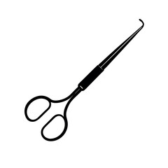 wooden spoon isolated on white