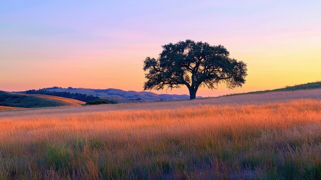 A serene sunset casting warm, golden light over a wide, open grassland, with a majestic, gnarled tree at the horizon.