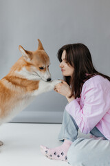 Happy brunette sitting next to corgi dog indoors. Cheerful girl in good mood stroking animal....