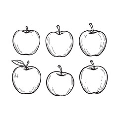 Elegant sugar apple botanical line art graphic vector