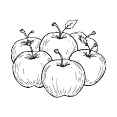 Hand drawn sugar apple sketch vector isolated design