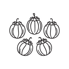 Minimalist passionfruit vector outline fruit sketch art