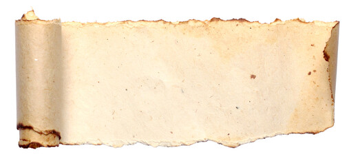 an old vintage roll paper with burnt edges isolated on white