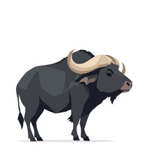 Vsai large african buffalo standing proudly showing its horns