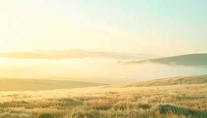 Serene sunrise over misty fields nature landscape early morning tranquil environment wide angle view peaceful concept