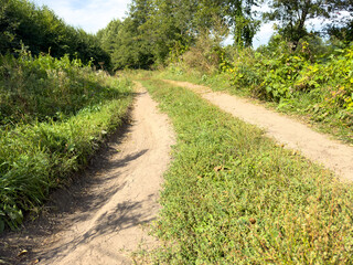 A dirt road with a grassy area in between