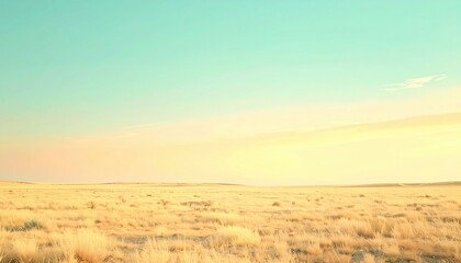 Expansive golden landscape at sunrise natural serenity high-resolution image open environment tranquil viewpoint