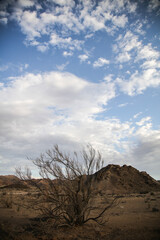 Rugged and arid landscape of the Richtersveld mountains