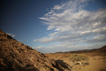 Tree going near large arid mountains in the Richtersveld area with some clouds in the sky