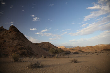 Tree going near large arid mountains in the Richtersveld area with some clouds in the sky
