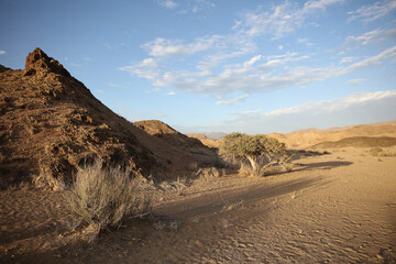 Tree going near large arid mountains in the Richtersveld area with some clouds in the sky