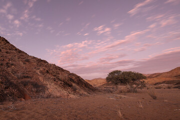 Tree going near large arid mountains in the Richtersveld area with some clouds in the sky
