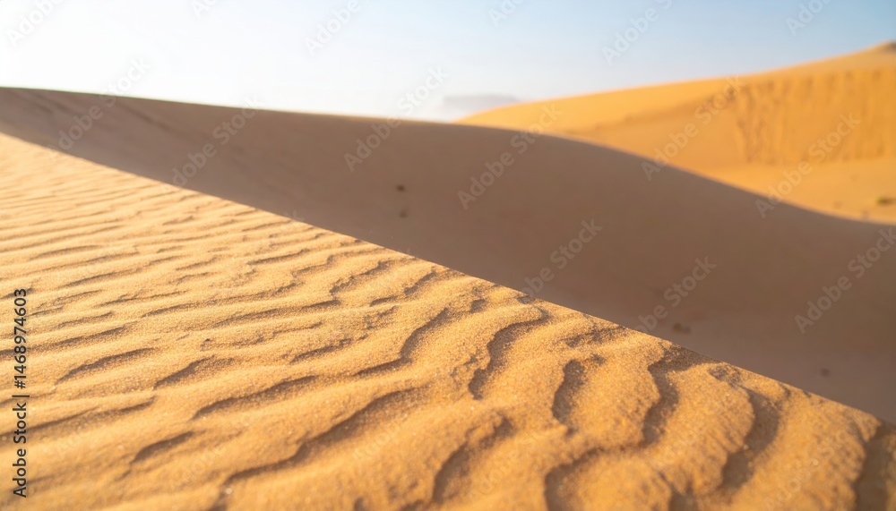Poster sandy dunes stretch under a clear sky, showcasing intricate patterns formed by the wind, creating a 