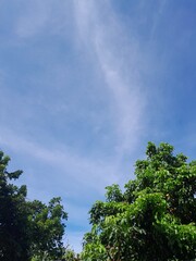 Obraz premium sky and clouds