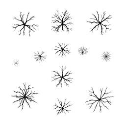 Top-Down Tree Silhouette Collection: Overhead view of bare tree silhouettes, artistic representation of arboreal forms and natural structures.