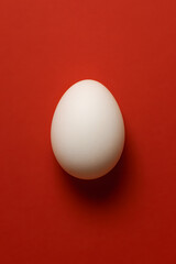 Fototapeta premium White egg placed centrally on a vibrant red background, showcasing smooth texture and subtle shadows, creating a striking visual contrast and emphasizing simplicity in design