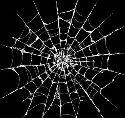 Obraz premium Intricate Spiderweb Against Black: A highly detailed and mesmerizing spiderweb stretches gracefully against a stark, black backdrop. The contrast highlights the delicate strands.