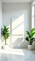 White empty room with natural light & plants Ideal for virtual backgrounds , blank, bright, simple