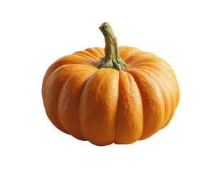 Fototapeta premium Single Orange Pumpkin on Transparent Background Autumn Harvest