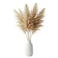 dried pampas grass bunch in ceramic vase, front-facing
