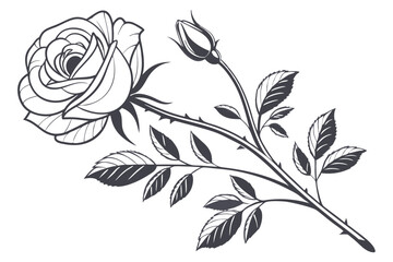179 elegant_rose,stylized_flower,black_and_white_rose,detailed_floral_design,rose_silhouette,minimalist_botanical_illustration