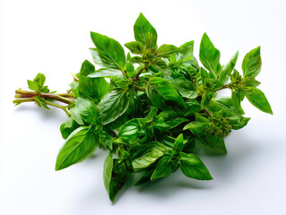 Obraz premium Fresh basil leaves on white background, aromatic herb bunch.