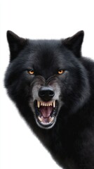 Black wolf with open mouth showing sharp teeth canine predator wild animal dangerous fauna powerful expression aggression anger closeup