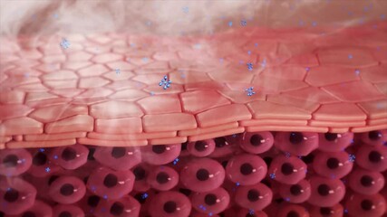 Toxins are discharged and hair grows,skin care,drugs enter the blocked hair follicles, activate deep cells, dredge the hair follicles, and the hair grows smoothly.3d animation.
