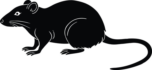  black and white illustration of a rat