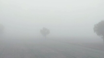 Fog in winter morning, foggy weather in winter morning, heavy fog over the agricultural field at cold morning of winter