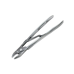 Fototapeta premium High-Angle Close-Up of Stainless Steel Surgical Dental Extraction Forceps