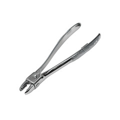 Obraz premium Surgical Bone Cutting Forceps, Stainless Steel Medical Instrument